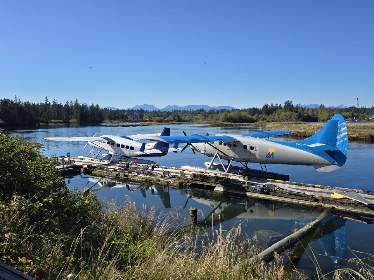 Floatplanes on the river in Campbell River